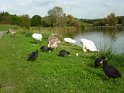 2014-10-02 16-38-40 Rando parc de la Courneuve CGn